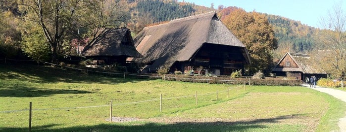 Schwarzwälder Freilichtmuseum Vogtsbauernhof is one of DLE.