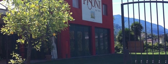 Cantine Pisoni is one of Winery & Distillery.