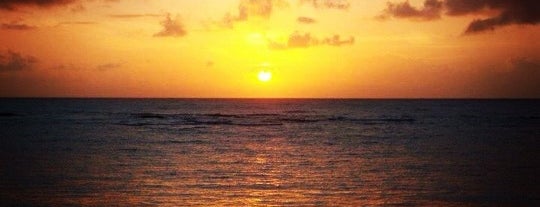 Praia da Garça Torta is one of Praias de Alagoas.