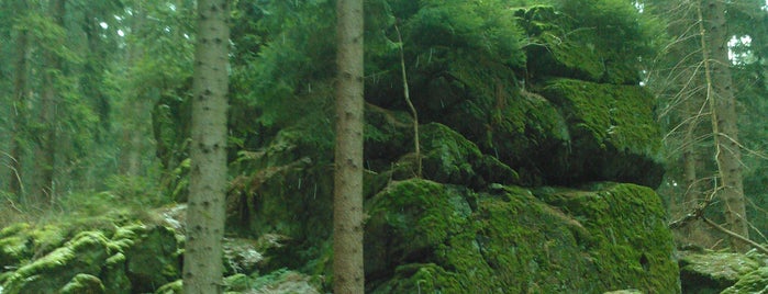 Vrch Vidhost 759 m, Kolinec (KT), Plzensky kraj is one of Sumava Bohmerwald Bohemian forest (Czech Republic).