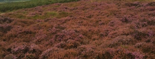 Ilkley Moor is one of Yorkshire: God's Own Country.