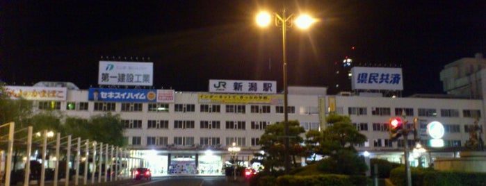 Niigata Station is one of 特急北越停車駅(The Limited Exp. Hokuetsu's Stops).