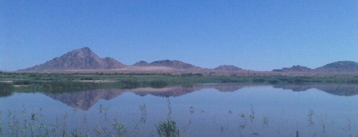 Wetlands Park is one of Good Hikes around Las Vegas.