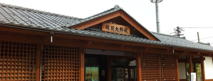 Echizen-Ōno Station is one of 中部の駅百選.