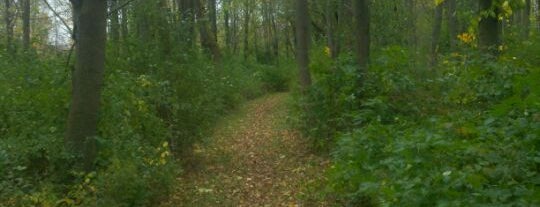 Whiting Road Nature Preserve is one of ♥ Webster.