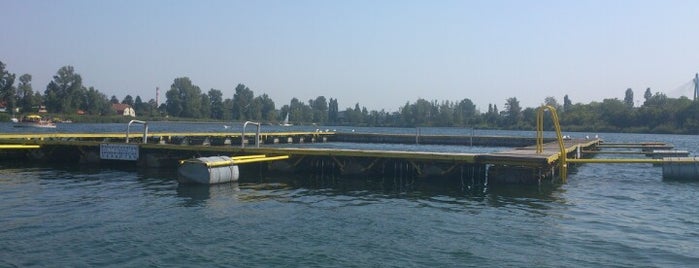 EW Donau SC Strand is one of Austrian Water Polo Pools.