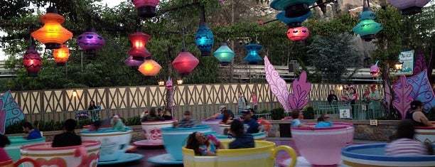 Mad Tea Party is one of Disney rides.
