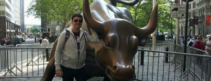 Charging Bull is one of Art Nerd New York.