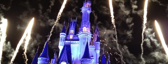 Magic Kingdom® Park is one of Férias 2014 - Orlando.