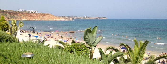 Playa de Aguamarina is one of Playas de la Comunidad Valenciana.