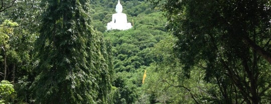 วัดเทพพิทักษ์ปุณณาราม (วัดพระขาว) Wat Thep Phithak Punnaram is one of Khao Yai.