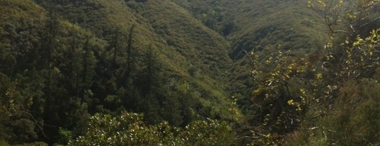 Trabuco Canyon is one of Off the grid OC.