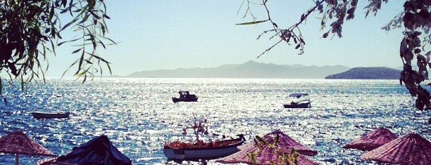 Satsuma Beach club is one of Best Sea Food in Turkey.