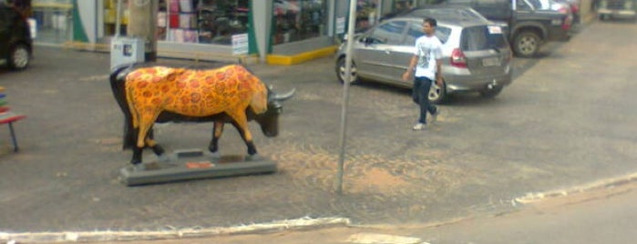 Cow Parade - VA-Camuflagem is one of Cow Parade Goiânia 2012.