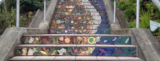 Golden Gate Heights Mosaic Stairway is one of the most beautiful things.