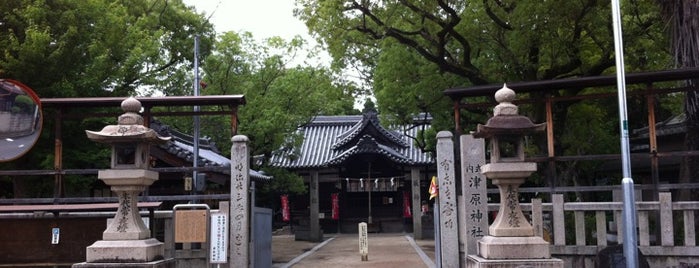 津原神社 is one of 式内社 河内国.