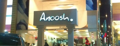 Anoosh is one of WithBou.