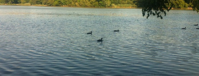 Prospect Park is one of Summer 2013.