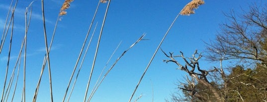 Wertheim National Wildlife Refuge is one of National Recreation Areas.