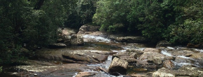 Sinharaja Forest Reserve is one of sri lanka.