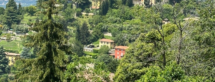 Belvedere is one of Bergamo.