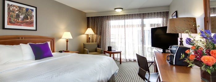 Best Western Plus Boulder Inn is one of Great Places to Visit in Colorado.