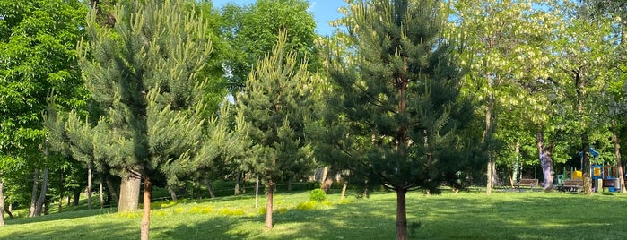 Parcul Tei is one of Bucharest.