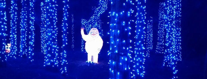 Sooy Lane Lightshow is one of Locais salvos de Irene.