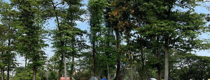 West Coast Park is one of Singapur.