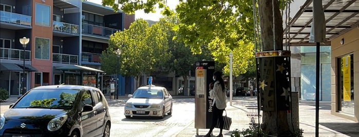 Royal Square Yellow Cat Stop is one of PERTH.