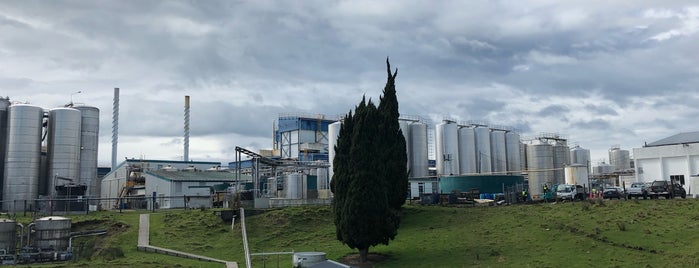 Tirau Dairy Products Plant is one of Places I've created.