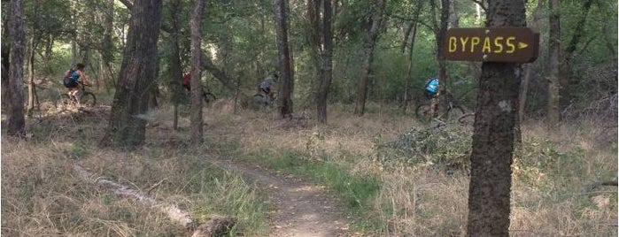 L.B. Houston MTB trailhead is one of Bike Trails.