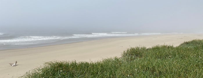 Horsfall Beach is one of OregonTrip.