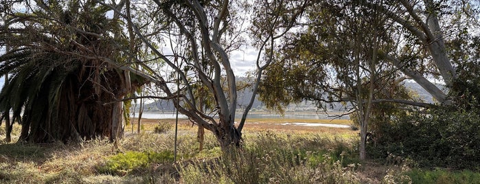 Batiquitos Lagoon is one of San Diego / Carlsbad.