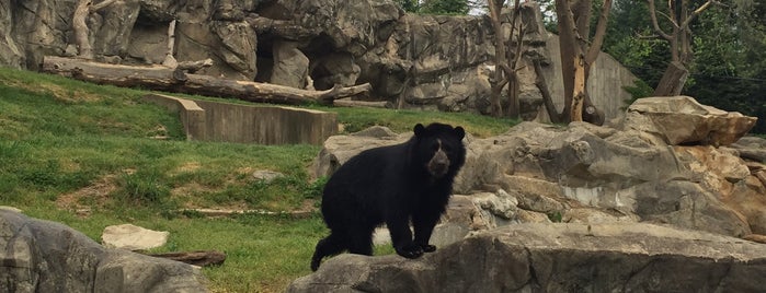 Andean Bear Exhibit is one of สถานที่ที่ Leanne ถูกใจ.