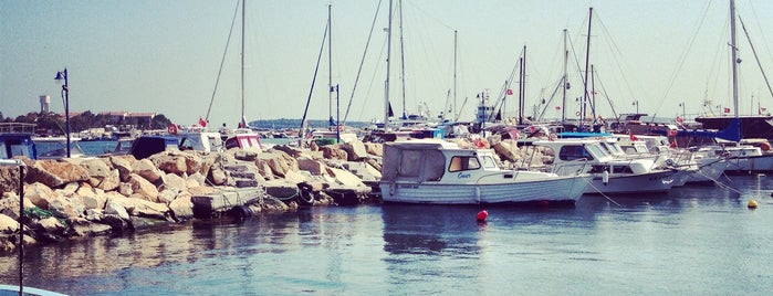 Rıhtım Restaurant is one of urla.