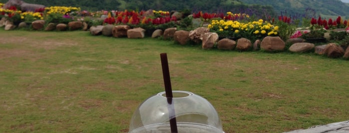 Pino Latte Resort & Cafe is one of Posti che sono piaciuti a KaMKiTtYGiRl.