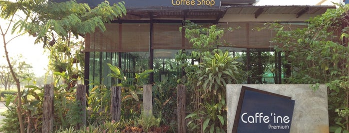 Caffe'ine Premium is one of Welcome 2 da North.