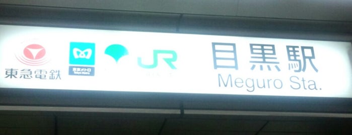 Meguro Station is one of The stations I visited.