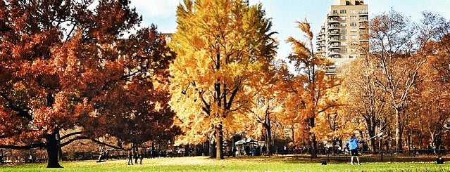 Центральный парк is one of NYC : Top 10.
