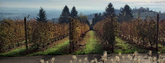 White Rose Winery is one of A Weekend Away in Willamette Valley.