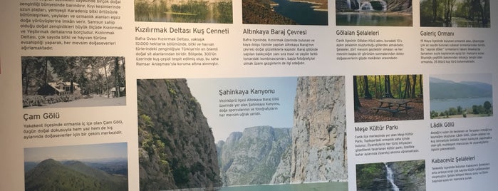 Samsun Kent Müzesi is one of Buğra : понравившиеся места.