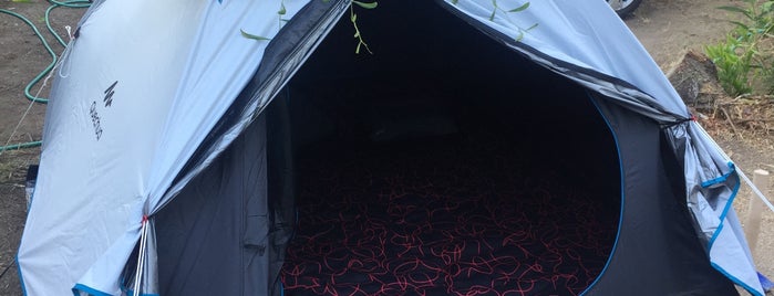 Özil Camping is one of Kamp git gez.