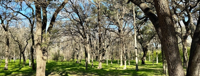 Brackenridge Park is one of Atascosa; Bexar; Comal; Guadalupe County.