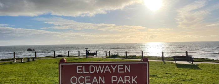 Eldwayen Ocean Park is one of สถานที่ที่ Jay ถูกใจ.