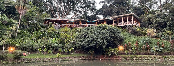 Haleiwa Joe's - Haiku Gardens Restaurant is one of Previously visited 2.