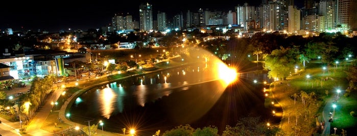 Parque Vaca Brava is one of Top 10 dinner spots in Goiás.
