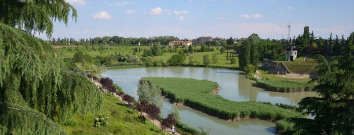 Parco Lago Nord is one of In Paderno.
