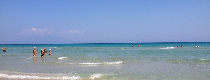 Alykes Beach is one of Zakynthos / Griechenland.