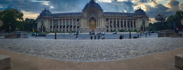 Petit Palais is one of Lieux qui ont plu à Carlos.